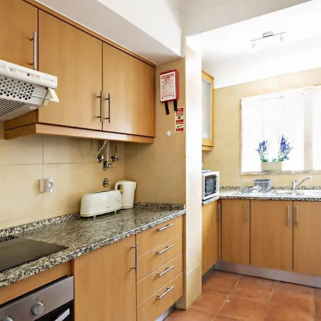 Lavender سانتا لوزيا